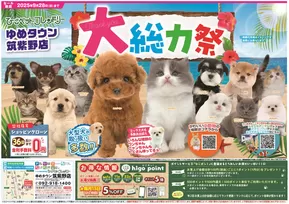 安来市でのひごペットフレンドリーのカタログ | 掘り出し物ハンターのための素晴らしいオファー | 2025-06-27T00:00:00.000Z - 2025-09-28T00:00:00.000Z