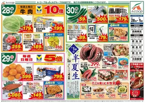 Aコープ東北のカタログ | あなたのための私たちの最高のオファー | 2025-06-28T00:00:00.000Z - 2025-07-01T00:00:00.000Z