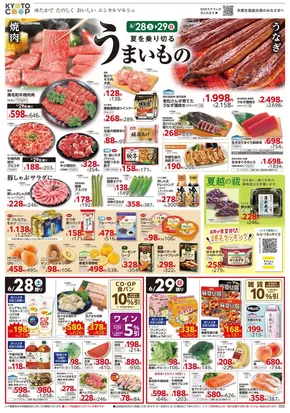 宇治市での京都生協のカタログ | 京都生協 チラシ | 2025-06-28T00:00:00.000Z - 2025-07-01T00:00:00.000Z