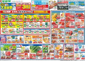 吹田市での平和堂のカタログ | 排他的な掘り出し物 | 2025-06-27T00:00:00.000Z - 2025-07-02T00:00:00.000Z