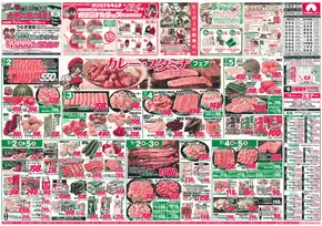 アオキスーパーのカタログ | 豊富なオファーの選択 | 2025-07-02T00:00:00.000Z - 2025-07-15T00:00:00.000Z