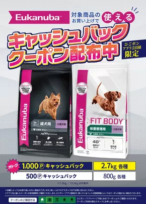 安来市でのひごペットフレンドリーのカタログ | ひごペットフレンドリー チラシ | 2025-07-03T00:00:00.000Z - 2025-07-31T00:00:00.000Z